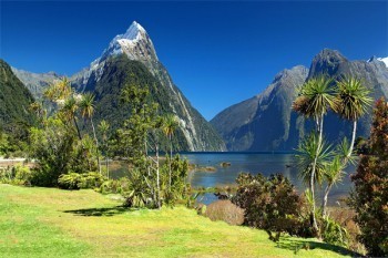 文靜馬蜂財經 以專業洞察，賦能社會經濟咨詢新未來